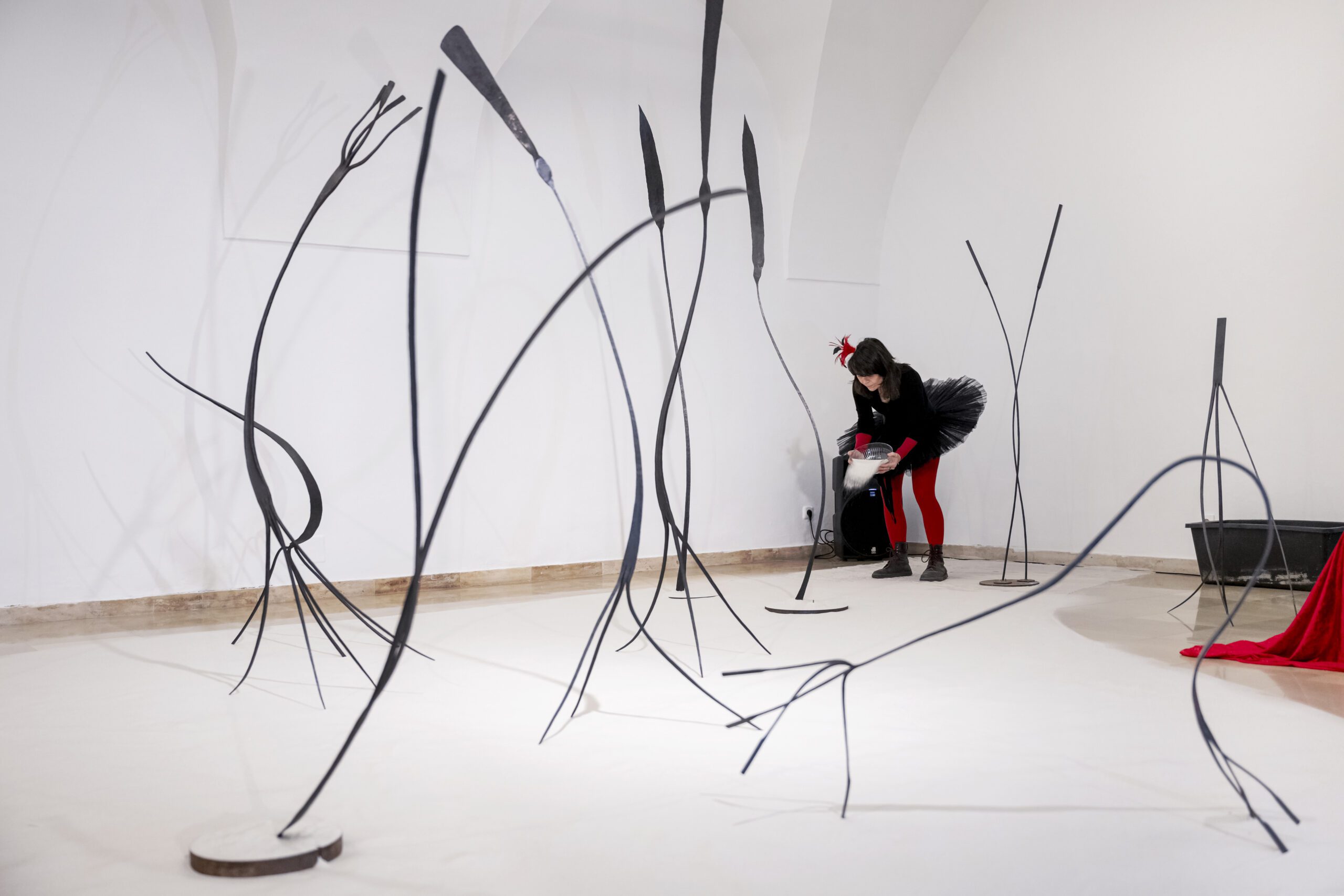OÖ Kunstverein im OÖ Kulturquartier
